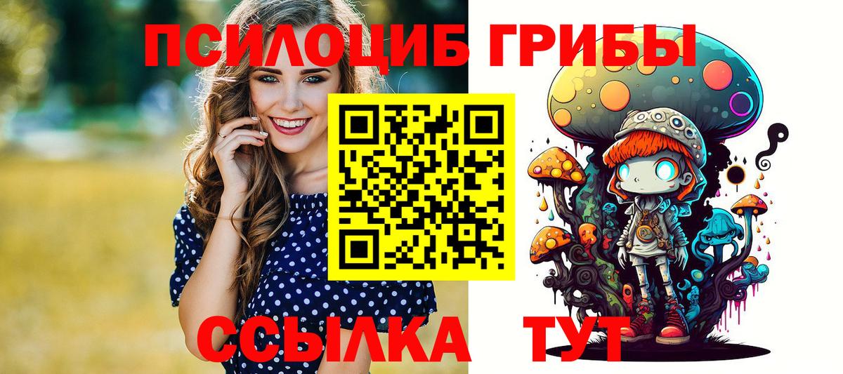 Губкин  Галлюциногенные грибы MAGIC MUSHROOMS  Псилоцибиновые грибы прущие грибы  Вход с VPN 